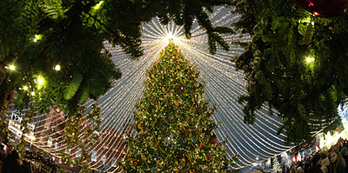 Селедка под шубой, елка и обращение президента. Истории главных символов Нового года