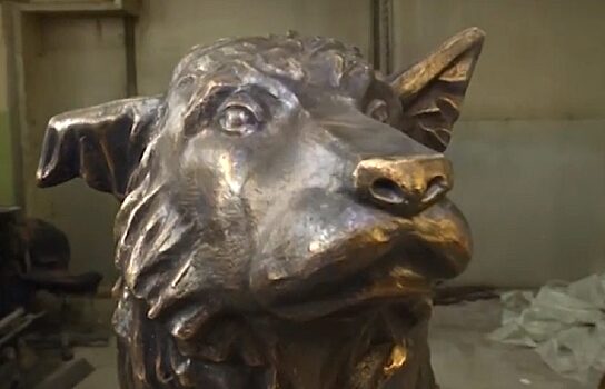 Уральский Хатико: в Челябинске пес 2 года ждал хозяина на остановке