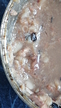 Сетевой гигант в Тобольске продавал консервы с паразитами
