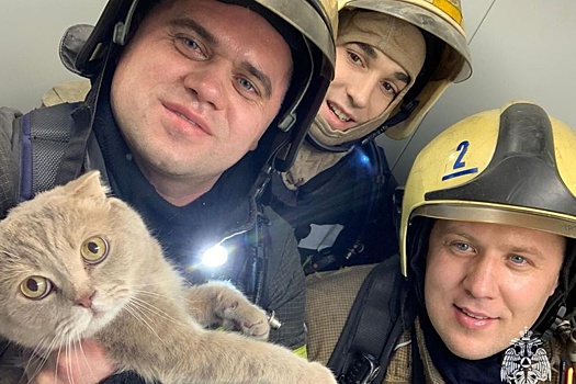 В Воронеже из пожара спасли трех человек и кота