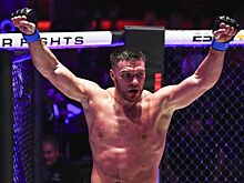 Малыхин оценил шансы Вадима Немкова в бою с Нганну