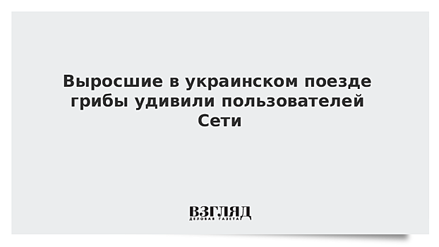 Выросшие в украинском поезде грибы удивили пользователей Сети