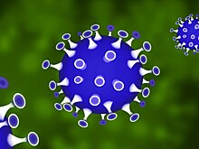 Исследование: непривитые умирают от ковида в 11 раз чаще вакцинированных