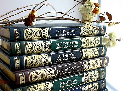 Российский хоккеист описал чтение «Мертвых душ» словами «я засыпал»