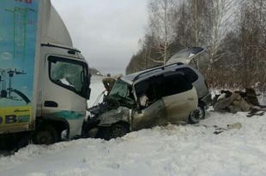 В Прикамье при столкновении легковушки с грузовиком погибли два человека