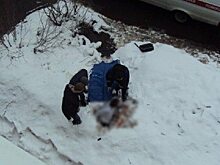 Соцсети: В Балакове неизвестный молодой человек выпал из окна высотки