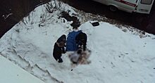 Соцсети: В Балакове неизвестный молодой человек выпал из окна высотки