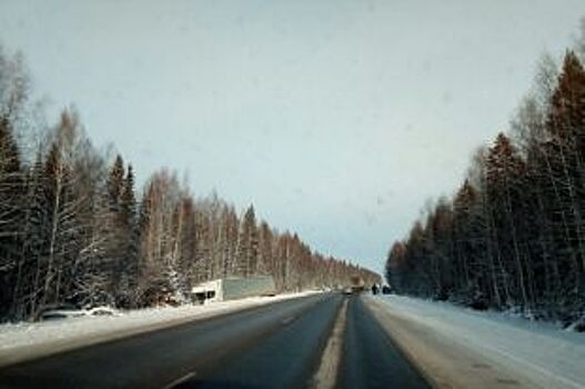 В Пермском крае столкнулись Нива и многотонная фура