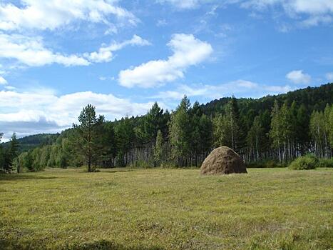 «Неизвестные» забирают земельные участки в селах Акшинского района