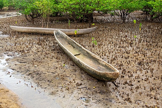 Тысячелетнюю систему проката каноэ обнаружили в США