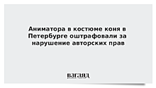 Аниматора в костюме коня в Петербурге оштрафовали за нарушение авторских прав