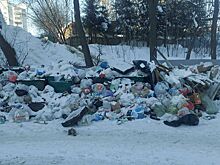 Губернатор посмотрел на помойки Костромы и решил принять меры