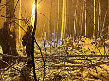 Граждане трех стран: названы имена погибших при крушении Ан-12