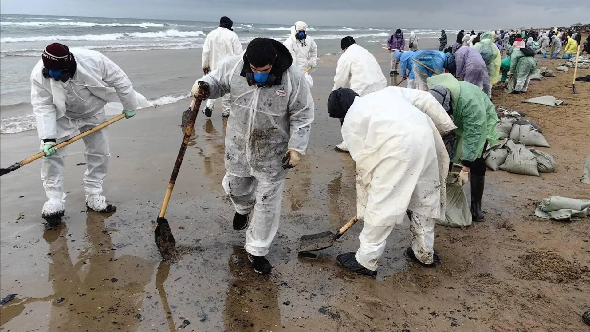 Нефтепродукты загрязнили 14,38 км побережья Крыма в четырех районах