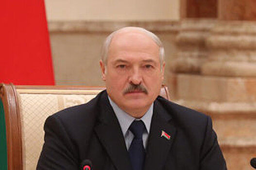 Президент Беларуси пообещал изучить текст соглашения о визах с РФ