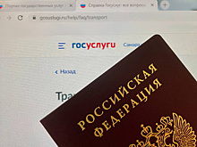 Более 100 млн россиян пользуются "Госуслугами"