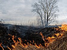 Мужчина сгорел в вагончике на полевом стане в СКО
