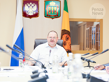 Глава реготделения СР подала заявление о снятии с выборов губернатора Пензенской области