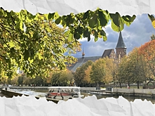 Многие уезжают из Омска на зимовку, а как улететь на «весновку» в Калининград и сколько это будет стоить?