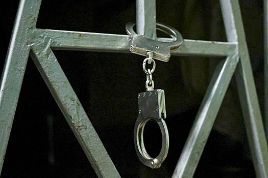 Призывы к диверсиям против российских военных привели к рецидивисту