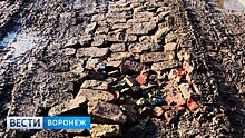 Вымощенная кирпичом в воронежском селе дорога начала утопать в чернозёме