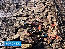 Вымощенная кирпичом в воронежском селе дорога начала утопать в чернозёме