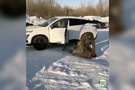 В Югре задержали кредитора, жестоко избившего должника