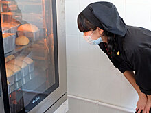 В Башкирии господдержка бизнес-проектов увеличила кооперацию на селе