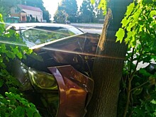 В Рязанском районе москвич на Hyundai Solari врезался в дерево и погиб