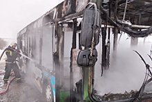 В Саратове сгорел маршрутный автобус