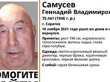 Пропавший в Нижнем Новгороде Анатолий Горбунов найден живым