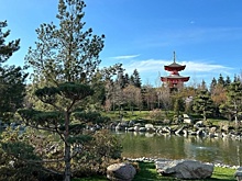 Туристы жалуются, что не могут попасть в Японский сад в Краснодаре