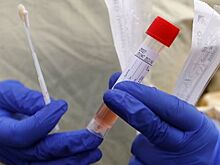 Сотрудники районной администрации Алтая массово заболели коронавирусом