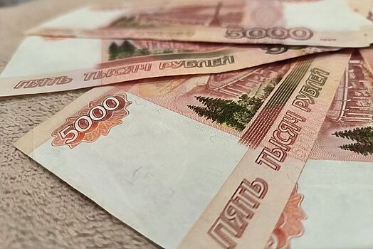 В России назвали выплату обязательной 13-й зарплаты невозможной