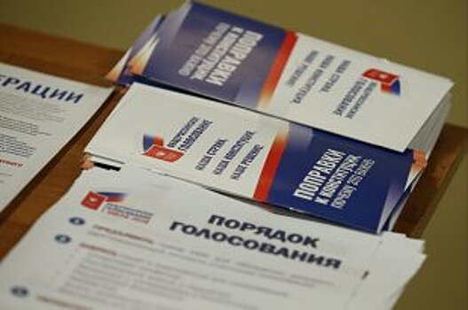 Наблюдатели ОП выявили 33 реальных нарушения на голосовании по Конституции