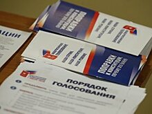 Наблюдатели ОП выявили 33 реальных нарушения на голосовании по Конституции