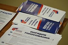 В Приморье за поправки высказались около 79 процентов избирателей