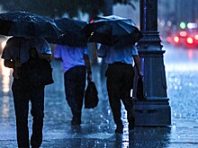 В Московском регионе объявили оранжевый уровень погодной опасности
