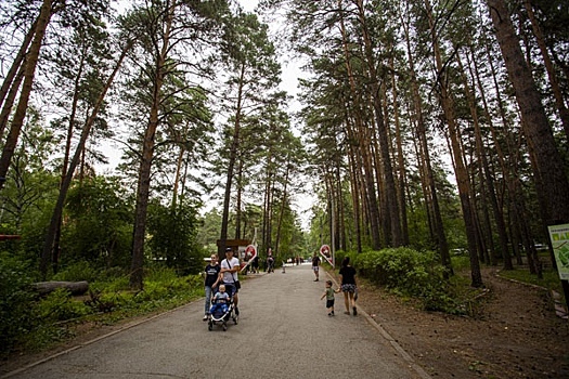 На создание парков в Новосибирской области потратят 4,5 млн рублей