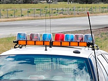 В США женщину арестовали по подозрению в продаже человеческих костей