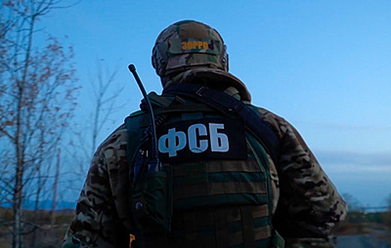 Участник украинского НВФ из Мариуполя задержан при попытке въехать в Россию через Крым