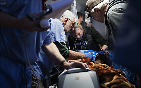 Как журналисты помогли хирургу спасти жизнь раненому