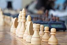Шахматисты определили сильнейшего классика района