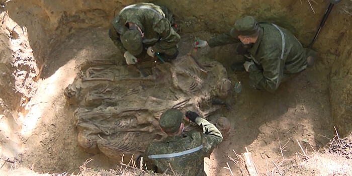 Массовые захоронения расстрелянных гитлеровцами найдены под Гомелем
