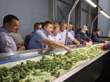 Лучшая инвестновость дня: В Нижегородской области запустили линию глубокой заморозки овощей
