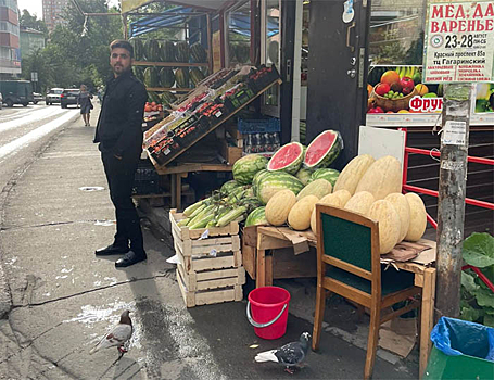 Метаморфозы уличной торговли, или Почему не работает «сито» Россельхознадзора