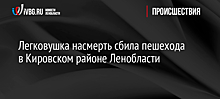 Легковушка насмерть сбила пешехода в Кировском районе Ленобласти