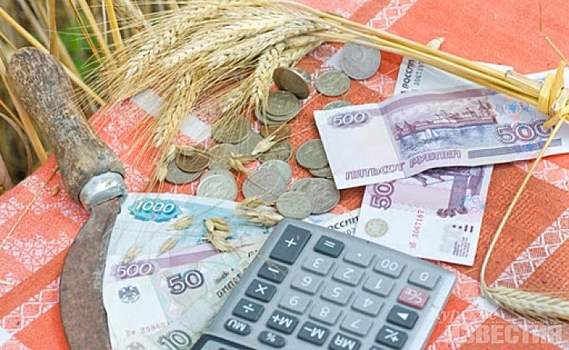 В Центре компетенций курским аграриям помогают бесплатно составить бизнес-планы