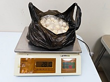 Челябинская таможня конфисковала более 300 килограммов меда и курта из Таджикистана