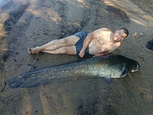 Царь-рыба: в Самарской области рыбак поймал в Волге сома весом 70 кг